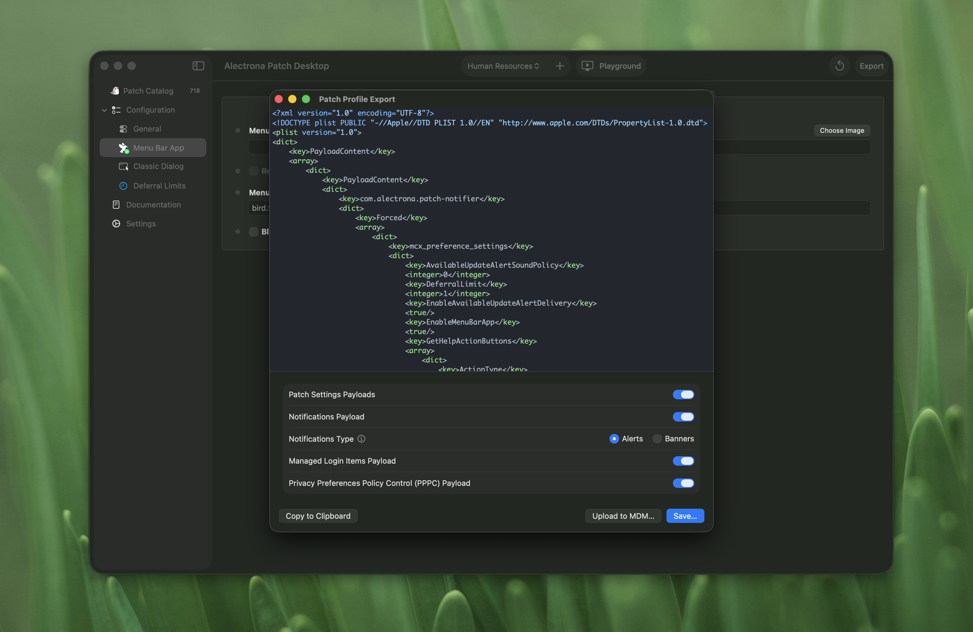 Export and Deploy a Patch Profile