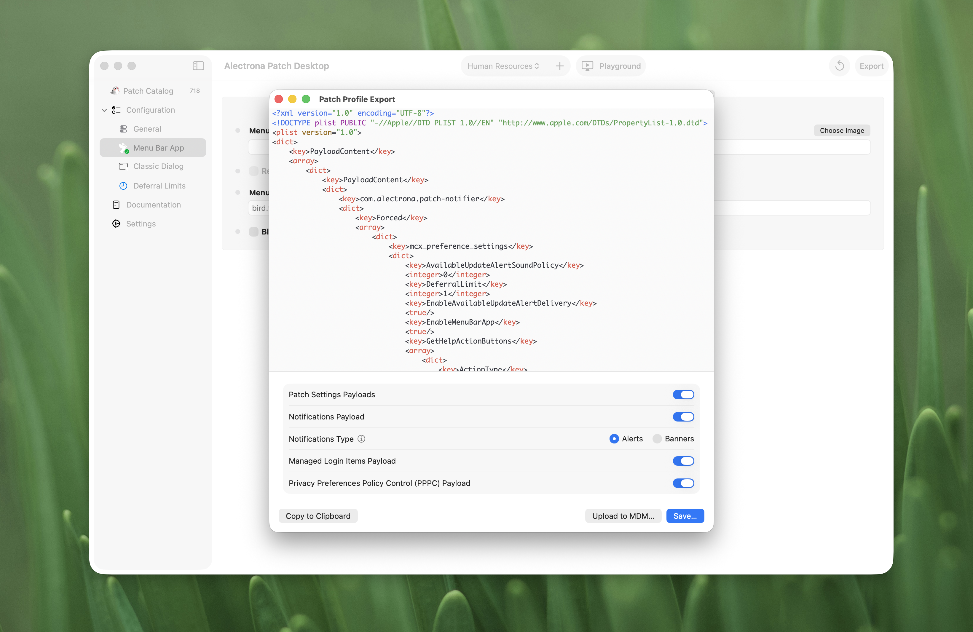 Export and Deploy a Patch Profile