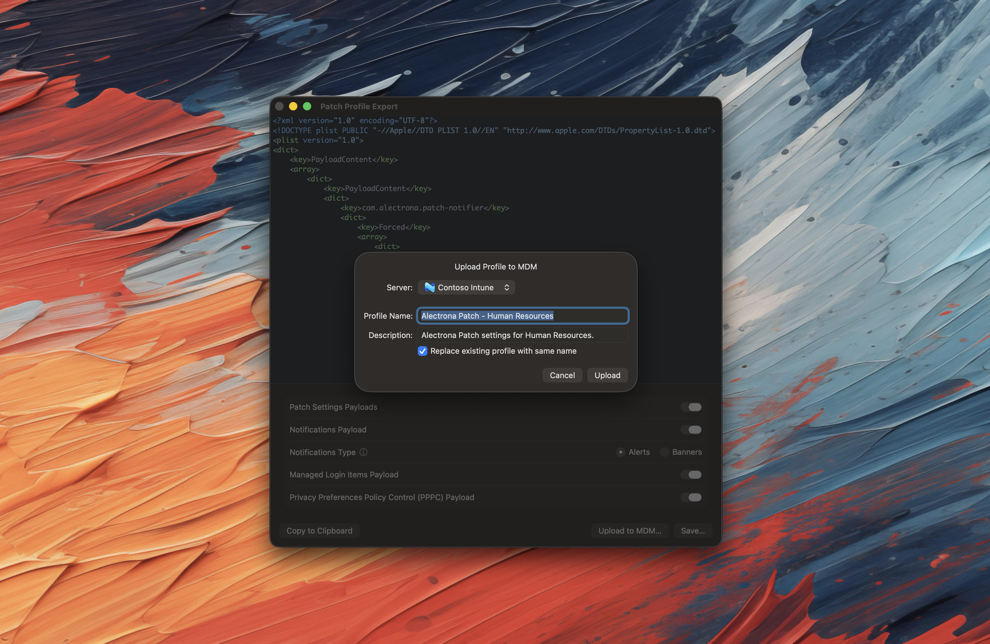 Set Upload Options