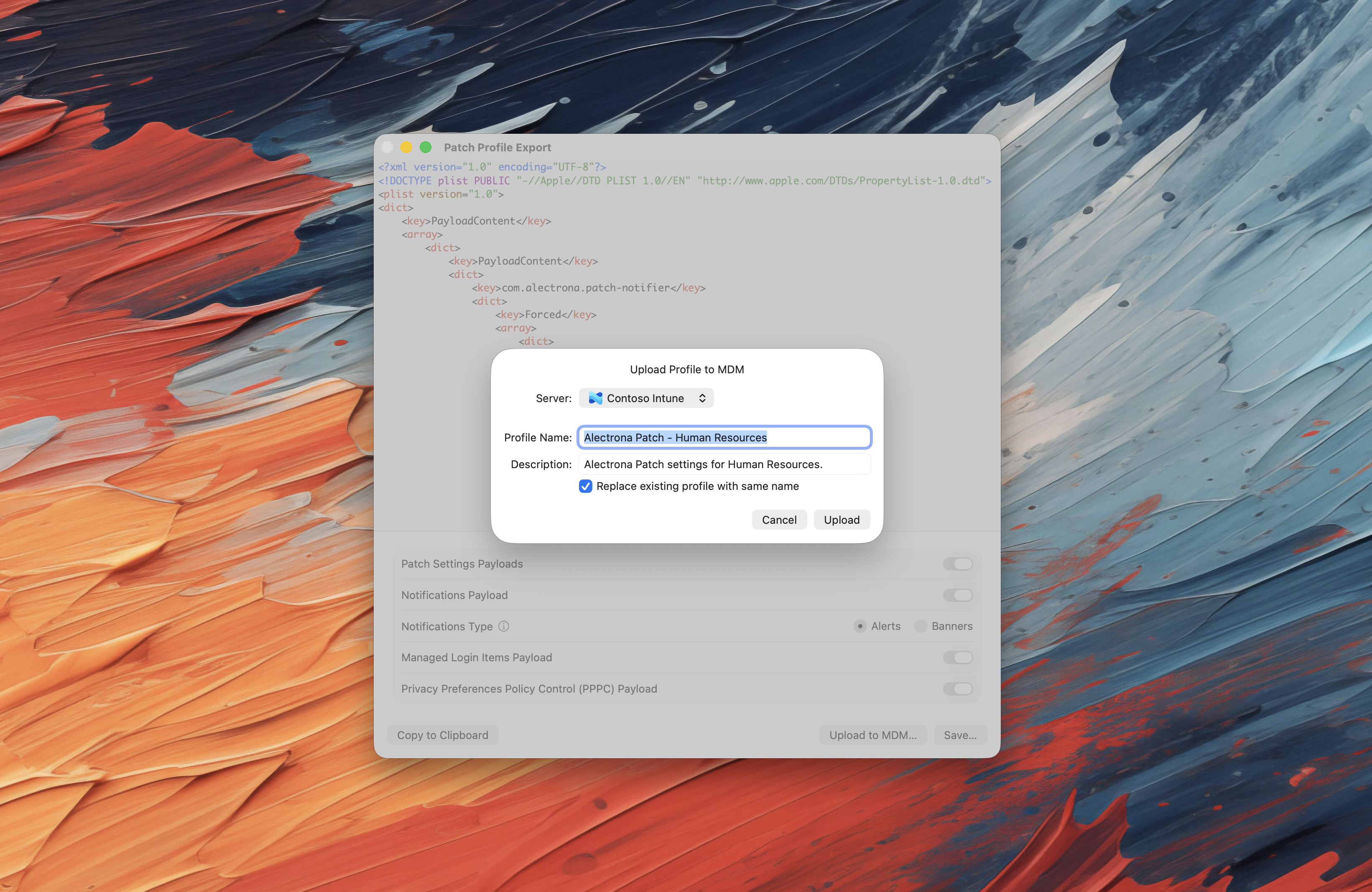 Set Upload Options